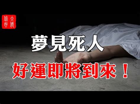 夢見鴿子死掉 4/17 星座